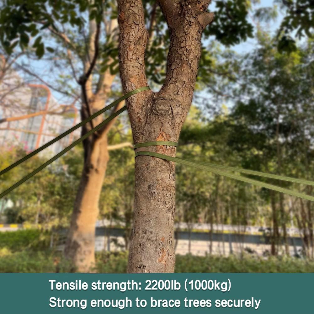 Tree Support Strap
