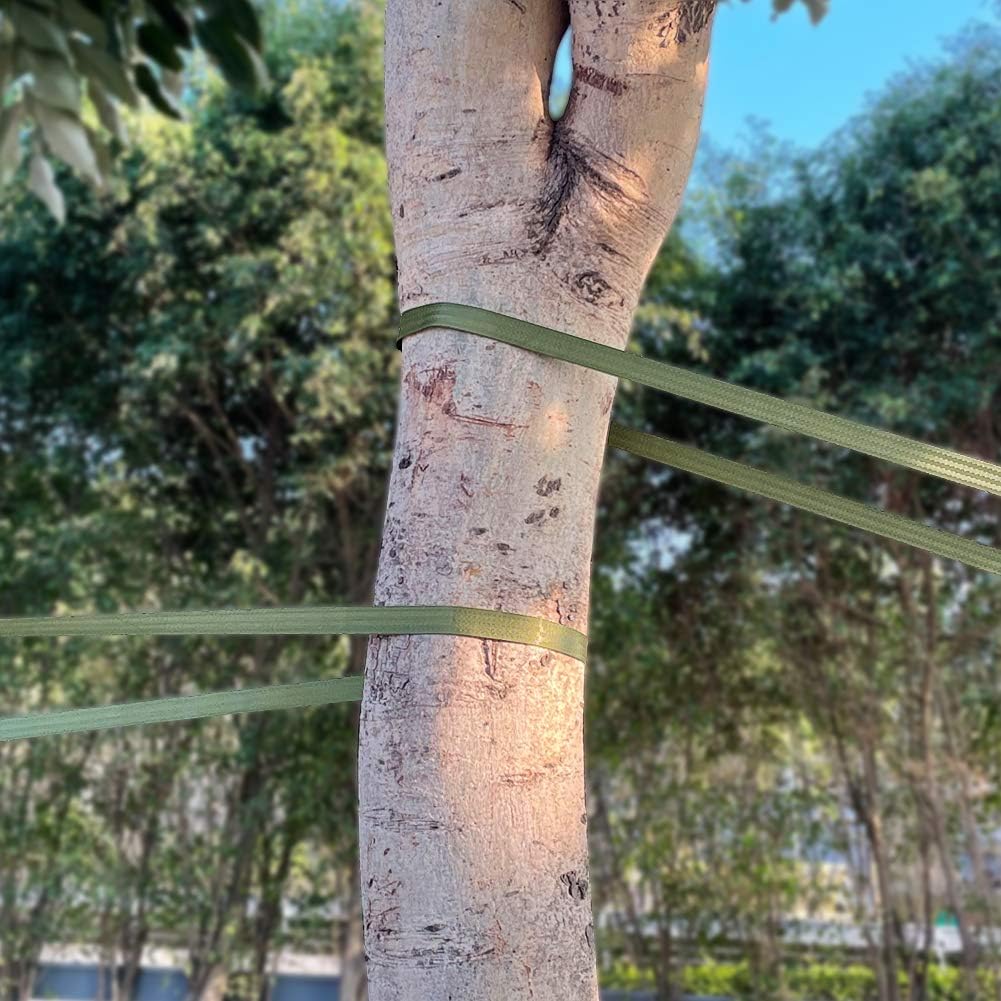 Tree Support Strap